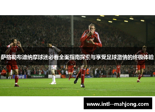 萨格勒布迪纳摩球迷必看全面指南探索与享受足球激情的终极体验