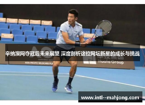 辛纳澳网夺冠后未来展望 深度剖析这位网坛新星的成长与挑战